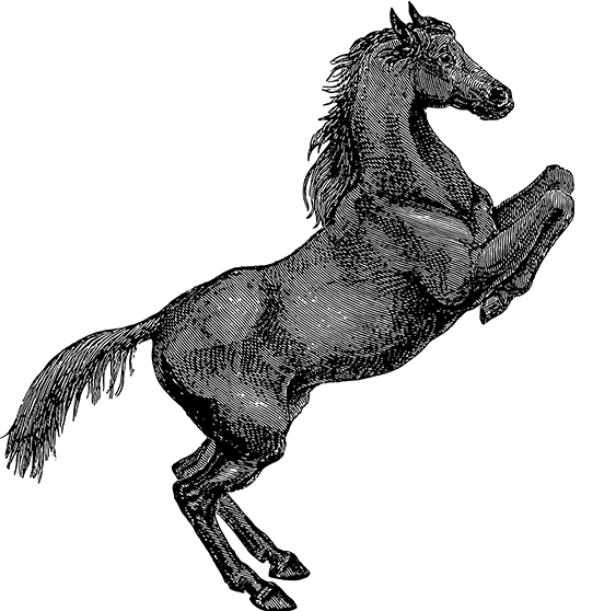 C7
