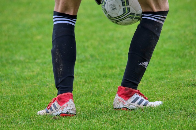 带动了地方 带动了地方