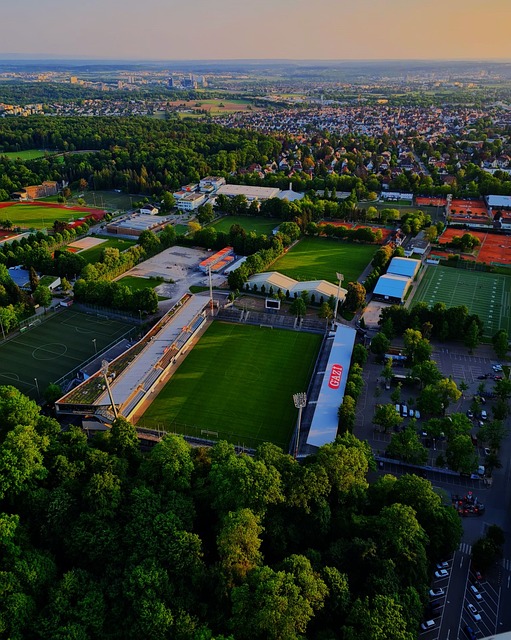 归化球员 归化球员