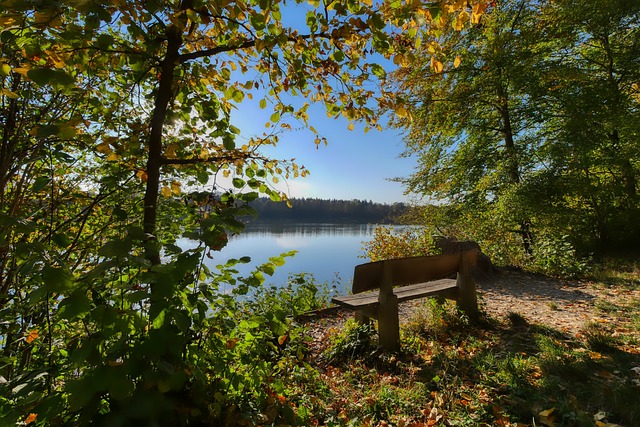 到了深圳队 到了深圳队