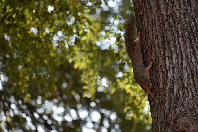 李艺凭借稳 李艺凭借稳