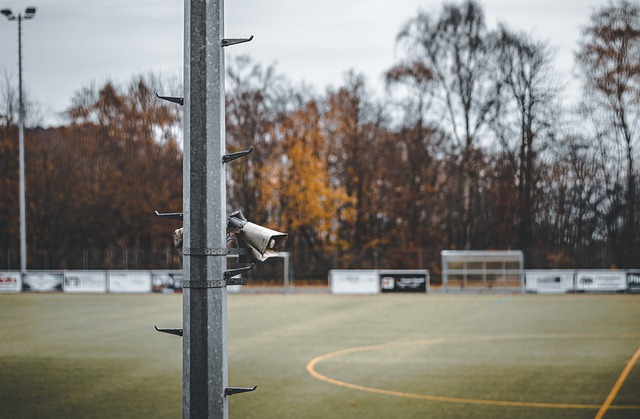 傅明的表现 傅明的表现