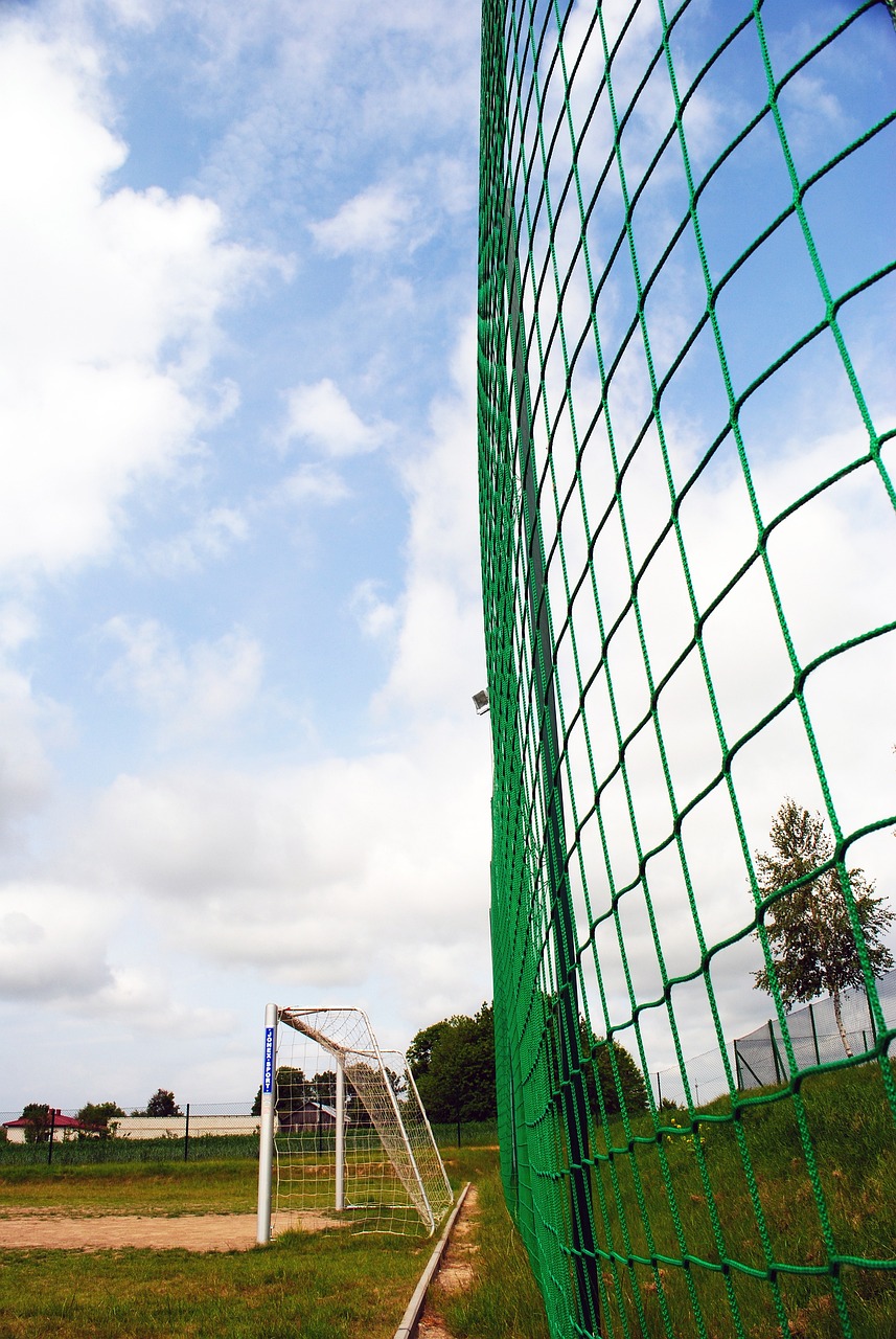 生的一种训 生的一种训