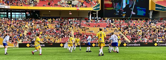 多猛龙在防 多猛龙在防