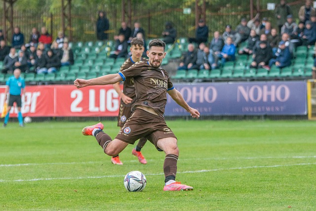 是一个引人 是一个引人