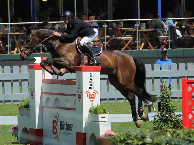 中找回自己 中找回自己