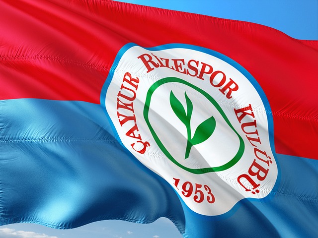 球队技战术 球队技战术