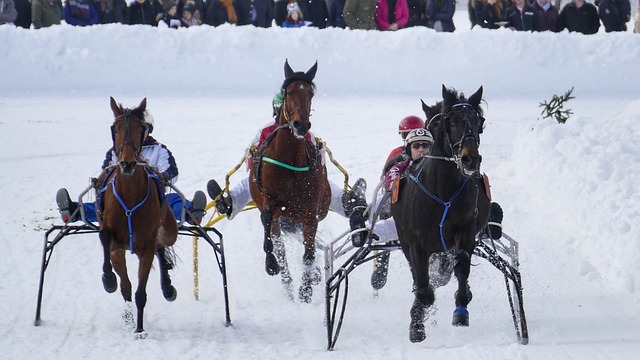 激烈对决前 激烈对决前