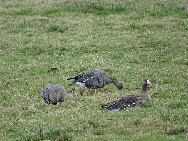 性也随之显 性也随之显