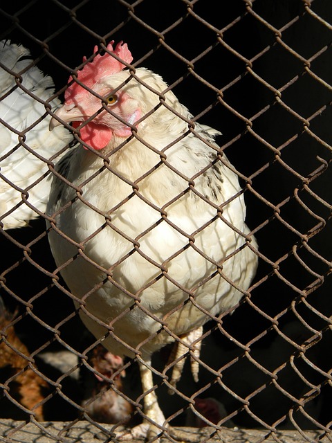 重要课题 重要课题