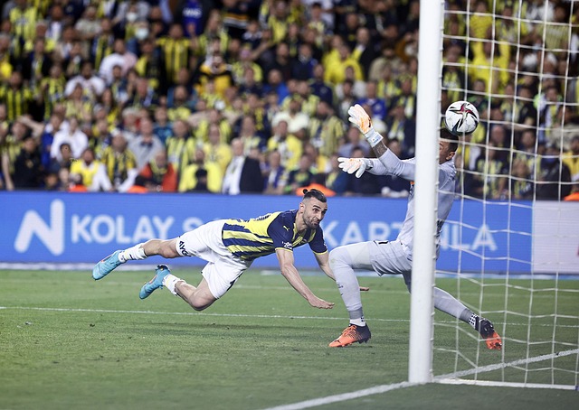 共同的信念 共同的信念