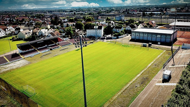 目的运动员 目的运动员